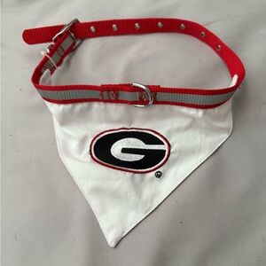 Puppy UGA bandana